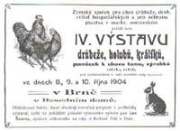 Výstava Brno 1904
